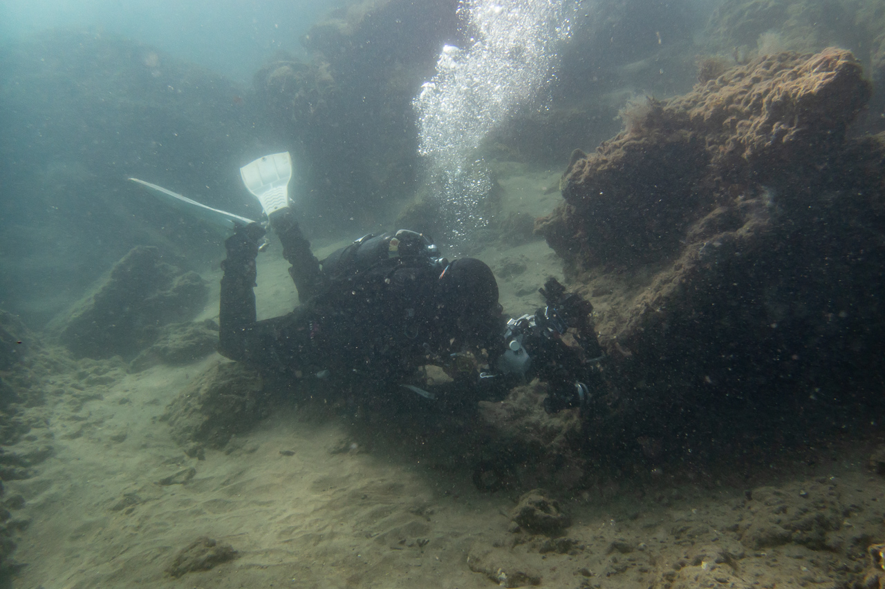 Muck Diving